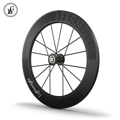 lightweight fernweg disc