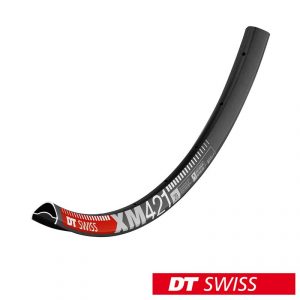 DT Swiss XM 481 rim